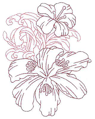 320x400 Clip Art Of Tiger Lily Flower Outline Search Black Water - Lily Outline Drawing