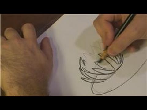 480x360 Drawing Plants Flowers How To Draw A Lily Pad Flower - Lily Pad Drawing