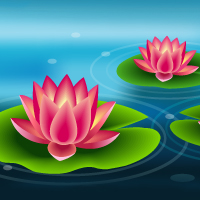 Lily Pad Flower Drawing