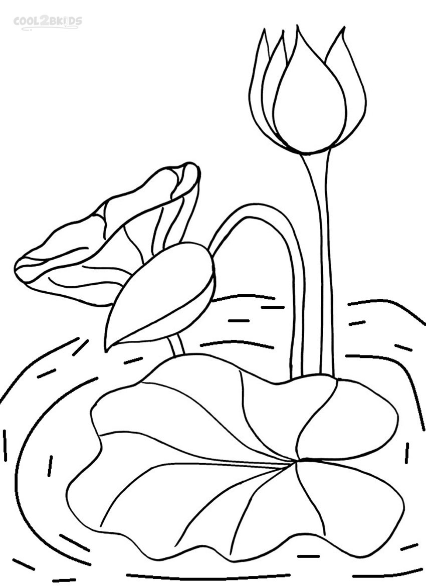 850x1169 Lily Pad Clipart Flower Drawing - Lily Pad Flower Drawing