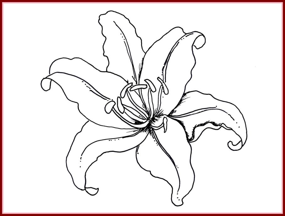 907x686 Lily Pad Flower Clipart Great Free Clipart, Silhouette, Coloring - Lily Pad Flower Drawing