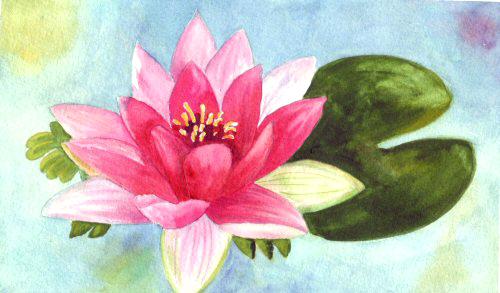 500x293 Lily Pad Painting With Lily Pads Art - Lily Pad Flower Drawing