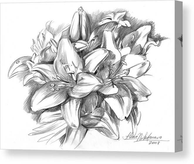 661x559 conte pencil sketch of lilies canvas print canvas art - Lily Pencil Drawing