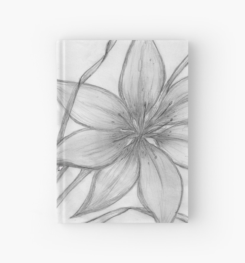 827x889 Lily,pencil Drawing, Hardcover Journals - Lily Pencil Drawing