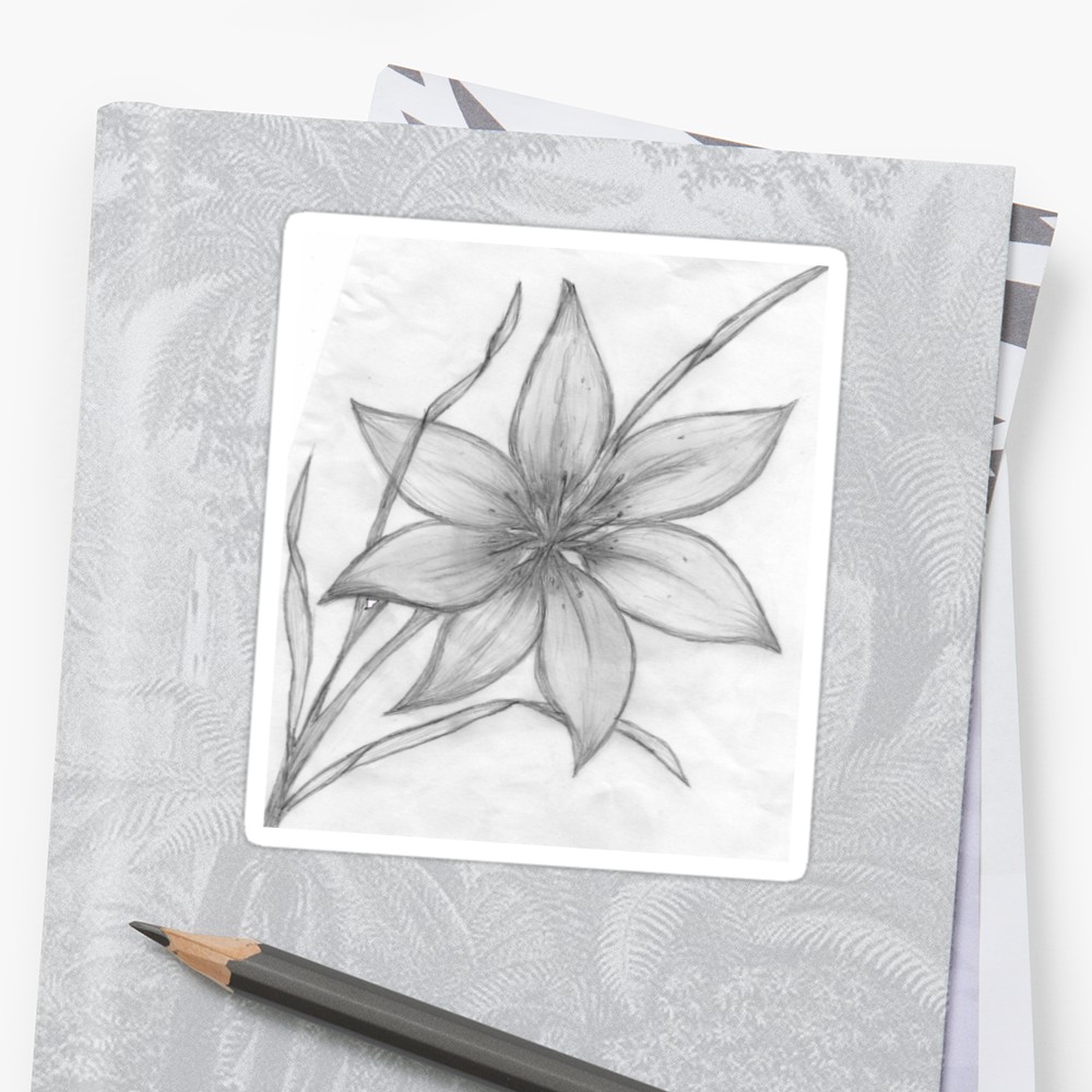 1000x1000 Lily,pencil Drawing, Stickers - Lily Pencil Drawing