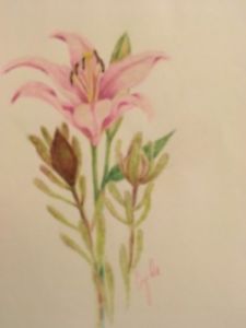 225x300 colored pencil drawing flowers pink lilly ebay - Lily Pencil Drawing