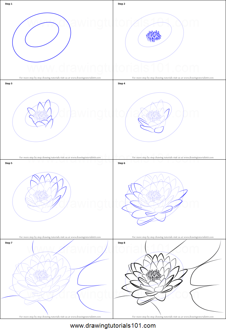 751x1107 How To Draw Lily Pad Printable Step - Lily Step By Step Drawing