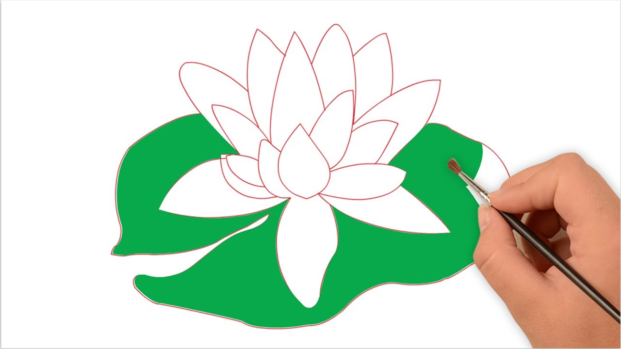 1280x720 How To Draw Water Lily For Kids Easy Step - Lily Step By Step Drawing