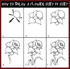 236x235 How To Draw A Water Lily And Pad Step - Lily Step By Step Drawing