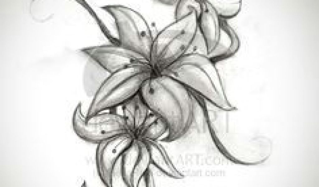 1024x600  - Lily Tattoo Drawing