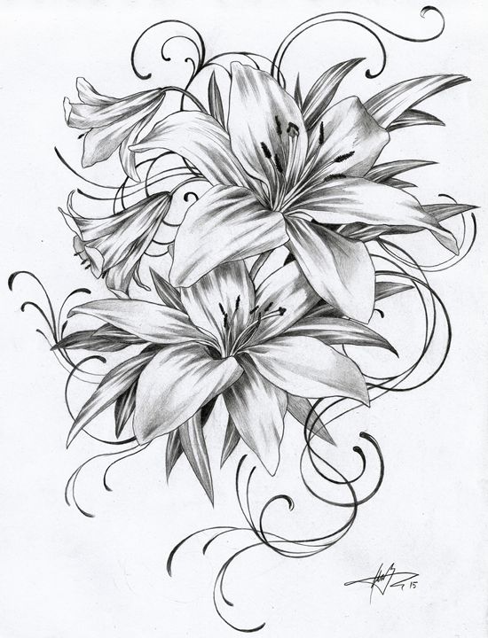 Lily Tattoo Drawing at PaintingValley.com | Explore collection of Lily