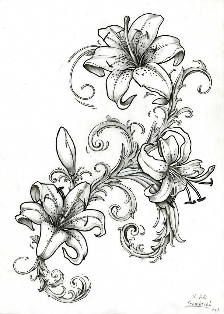 736x1031 gladiolus means strength of character, faithfulness, honor - Lily Tattoo Drawing