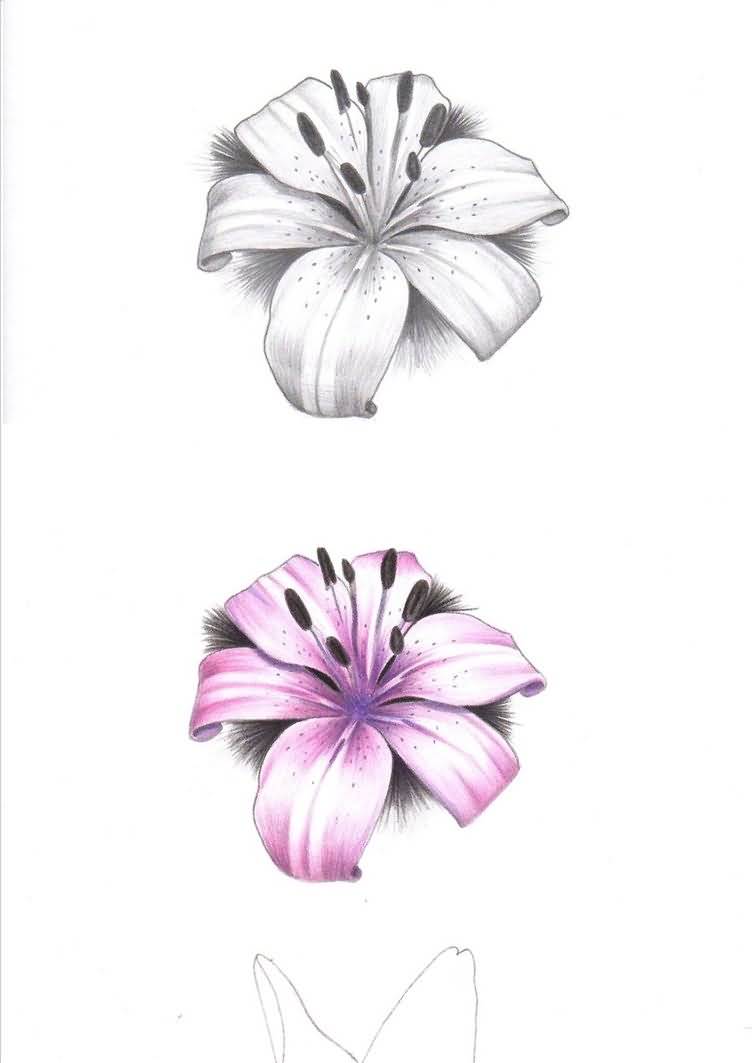 752x1063 Innovative Lily Tattoo Drawing - Lily Tattoo Drawing