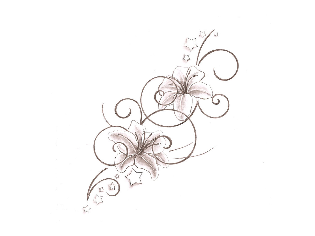 1280x960 Lily Tattoo Designs Tattoo Ideas - Lily Tattoo Drawing