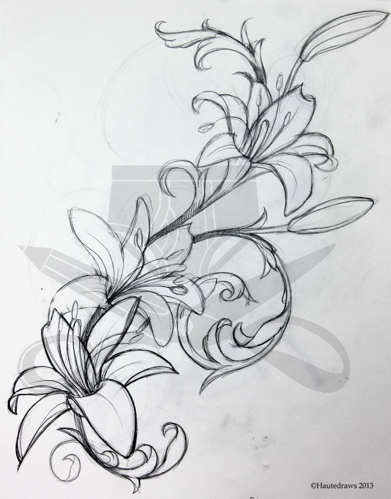 784x1000 filigree lily ink lillies tattoo, tattoo sketches, tattoos - Lily Tattoo Drawing