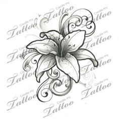 236x236 lily flower tattoo flash tatoo lily flower tattoos - Lily Tattoo Drawing