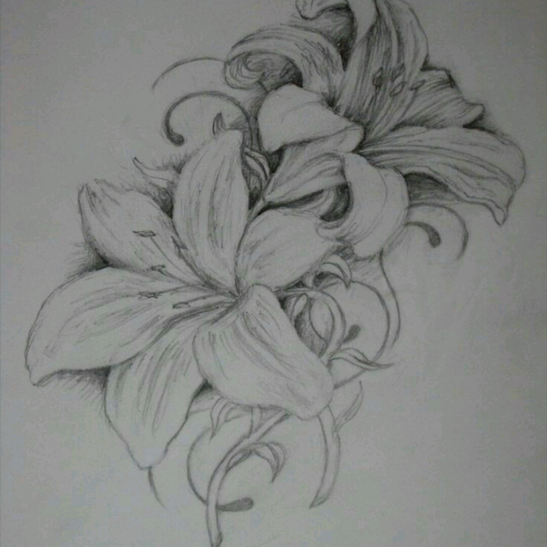 1080x1080 I Have Seen A Lot Of Messed Up Lily Tattoos So Im - Lily Tattoo Drawing
