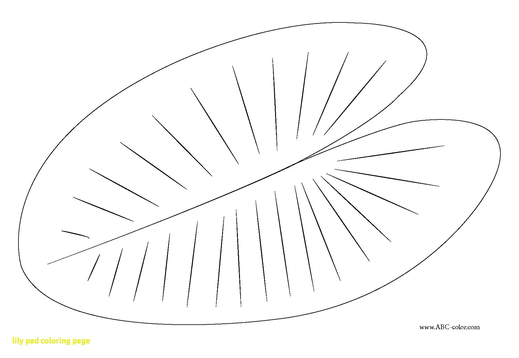 1713x1181 lovely design lily pad coloring - Lilypad Drawing