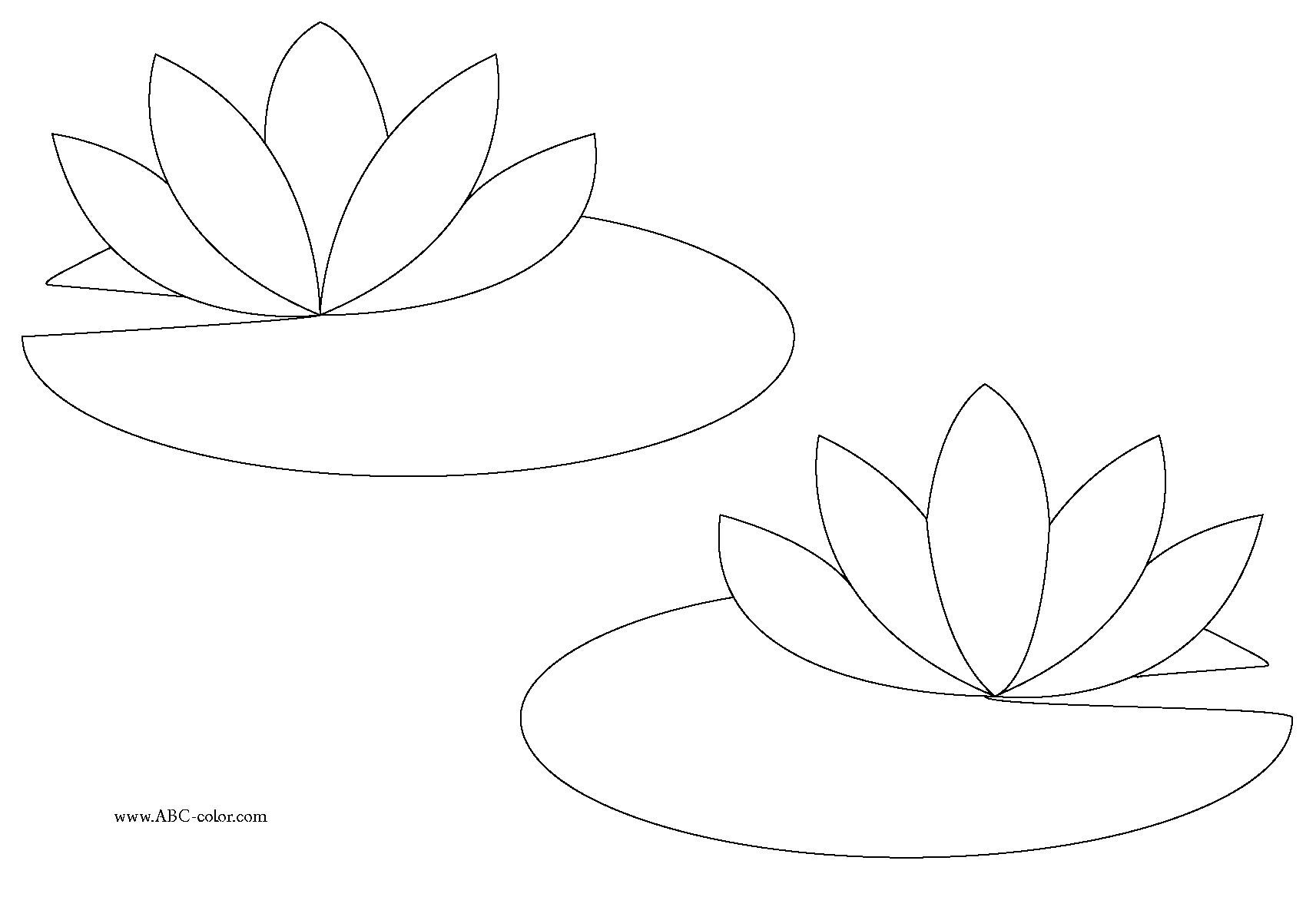 Quality Lily Pad Coloring - Lilypad Drawing. 