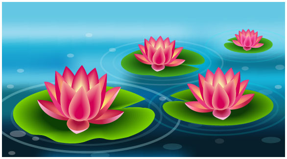 586x326 drawn pond lily pad drawing - Lilypad Drawing