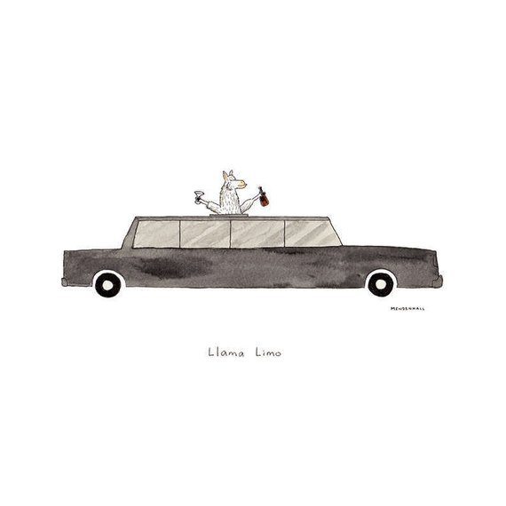 570x570 Limousine Print Llama Art Alpaca Artwork Luxury Car Funny Etsy - Limo Drawing