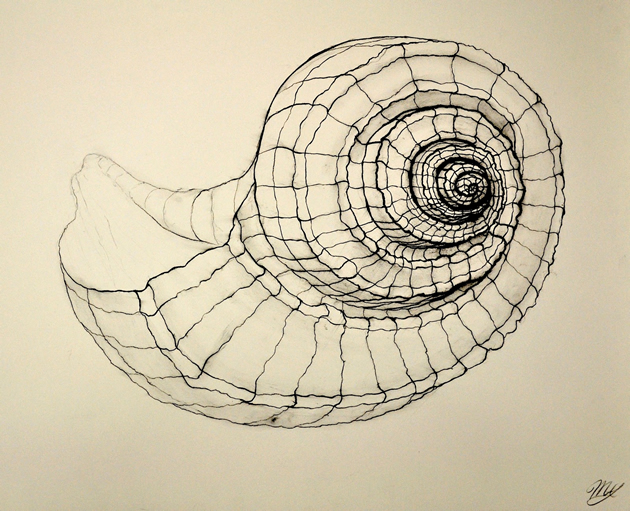 630x511 Line Drawing A Guide For Art Students - Line Art Drawing