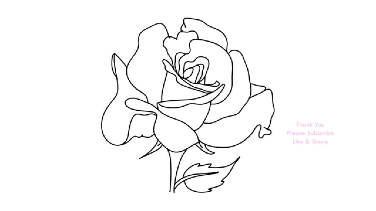 1280x720 How To Draw A Rose Flower Easy Line Drawing Sketch - Line Drawing