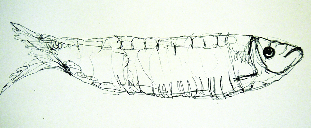 1000x413 Continuous Line Drawing Exercise - Line Drawing