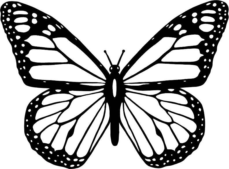 792x586 Clipart - Line Drawing Black And White