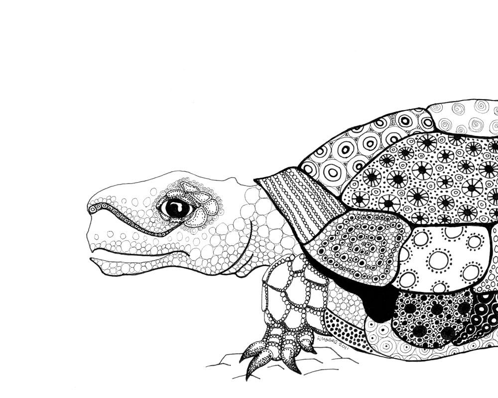 1000x800 Turtles Archives - Line Drawing Black And White