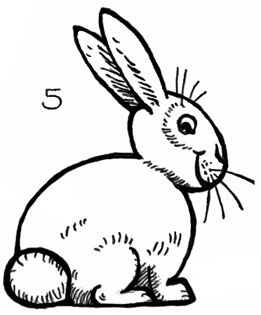 372x449 How To Draw Bunnies With Easy Bunny Rabbits Drawing Lesson - Line Drawing Bunny Rabbit
