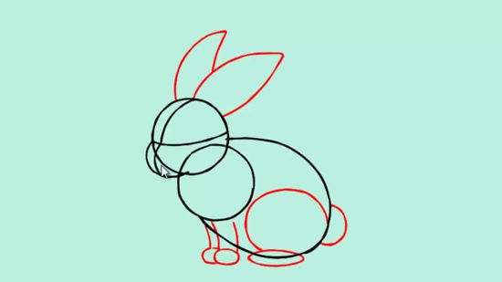 550x309 How To Draw A Bunny Steps - Line Drawing Bunny Rabbit