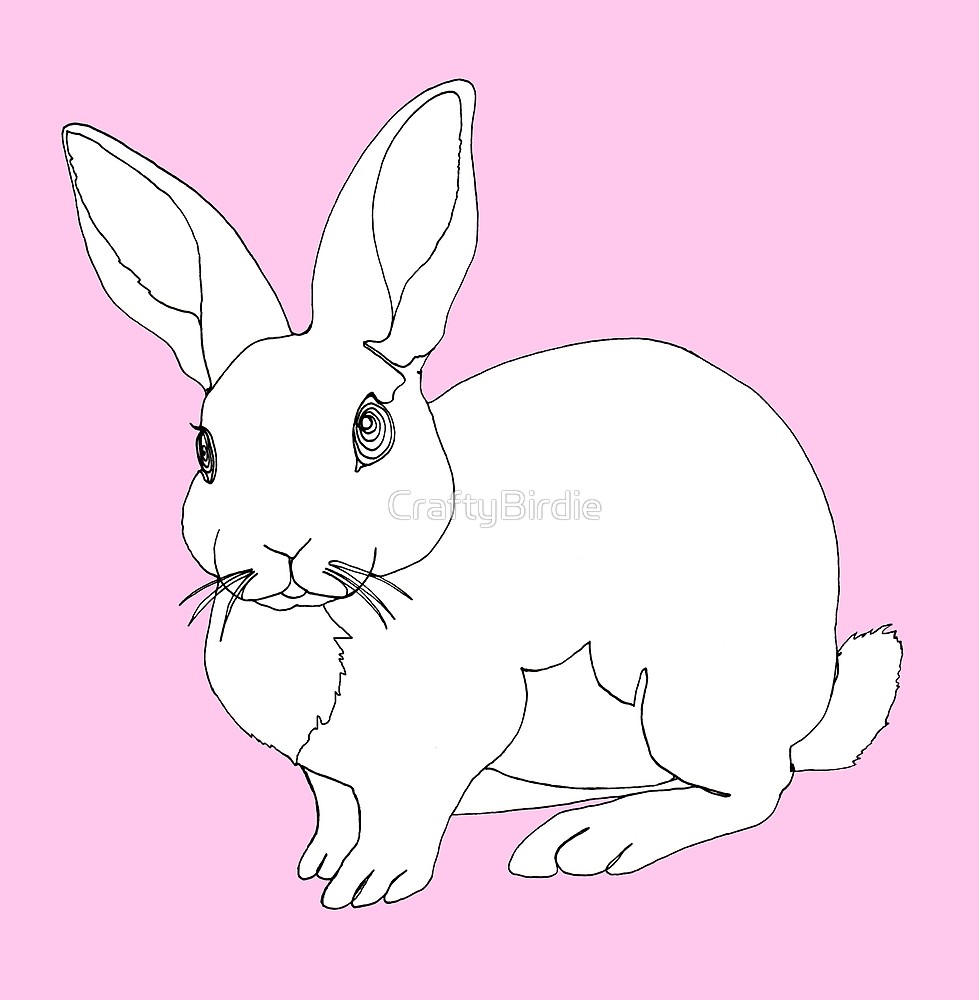 979x1000 White Bunny Rabbit, Line Drawing, Pink Background - Line Drawing Bunny Rabbit