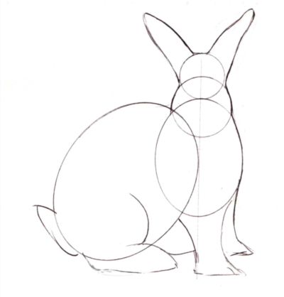 400x418 Bunny Rabbit Drawing How To Draw A Realistic Sweet Sardinia - Line Drawing Bunny Rabbit