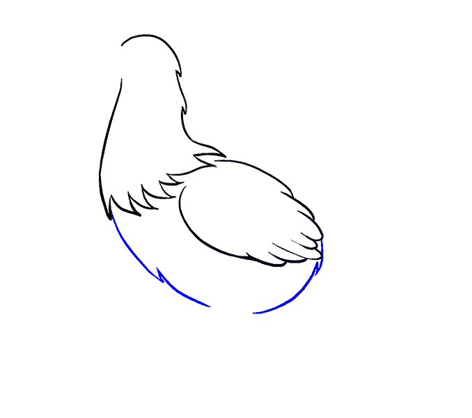 678x600 How To Draw A Cute Chicken In A Few Easy Steps Easy Drawing Guides - Line Drawing Chicken