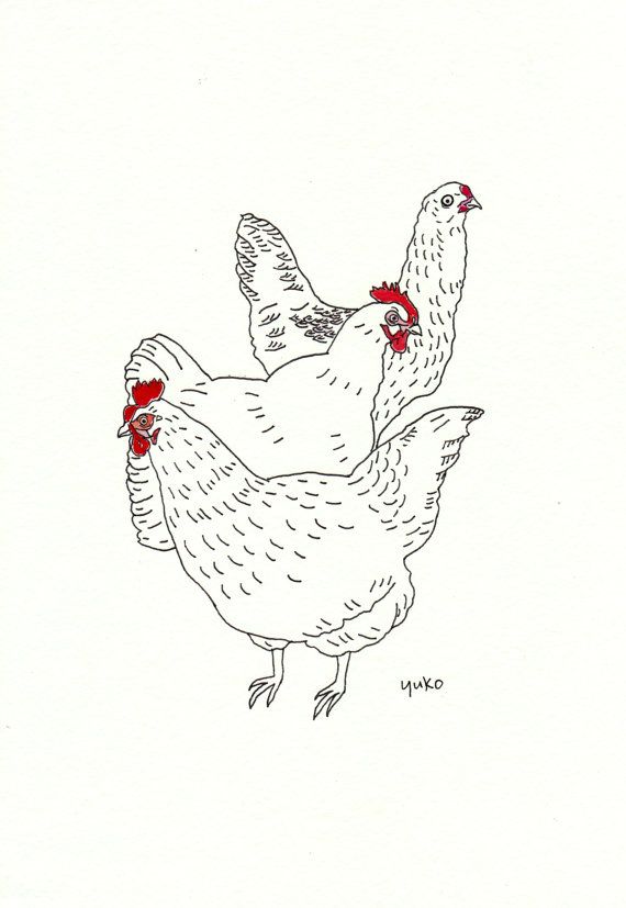 570x827 Urban Chickens Line Drawing Print Fine Art + Artists - Line Drawing Chicken