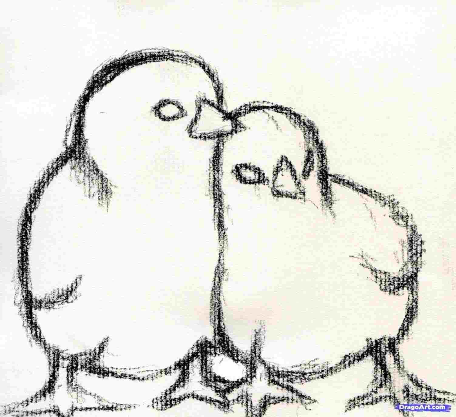 1503x1375 Rhshutterstockcom Vector Easy Chicken Drawing Chicken Head Line - Line Drawing Chicken