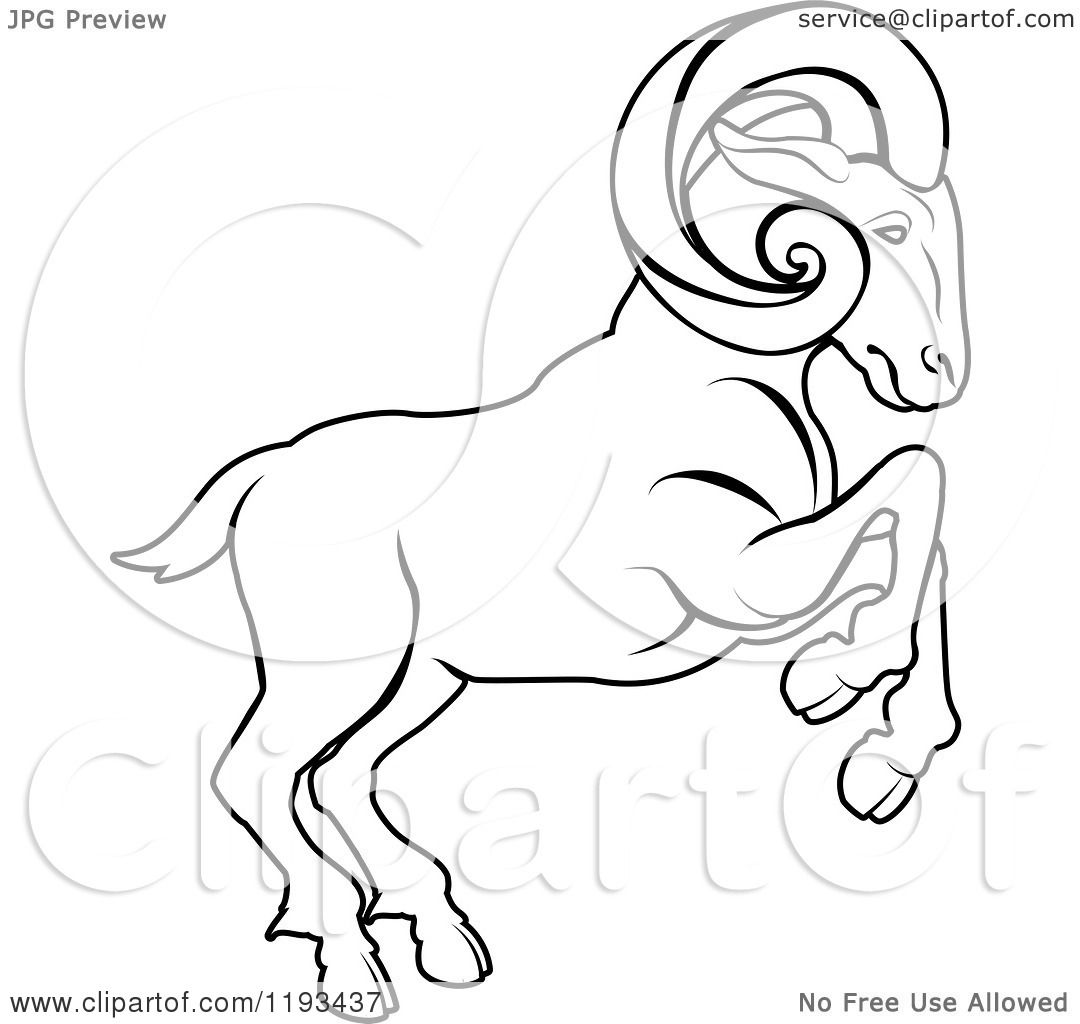 1080x1024 Clipart Of A Black And White Line Drawing Of The Aries Ram Zodiac - Line Drawing Clipart