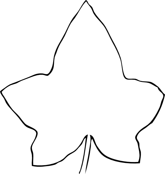 564x595 Line Drawing Leaf Clip Art - Line Drawing Clipart