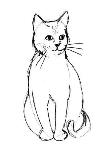 352x517 Real Cat Drawing Clip Art - Line Drawing Clipart