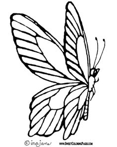 236x295 Line Art Drawings Of Butterflies Black White Line Drawing - Line Drawing Clipart