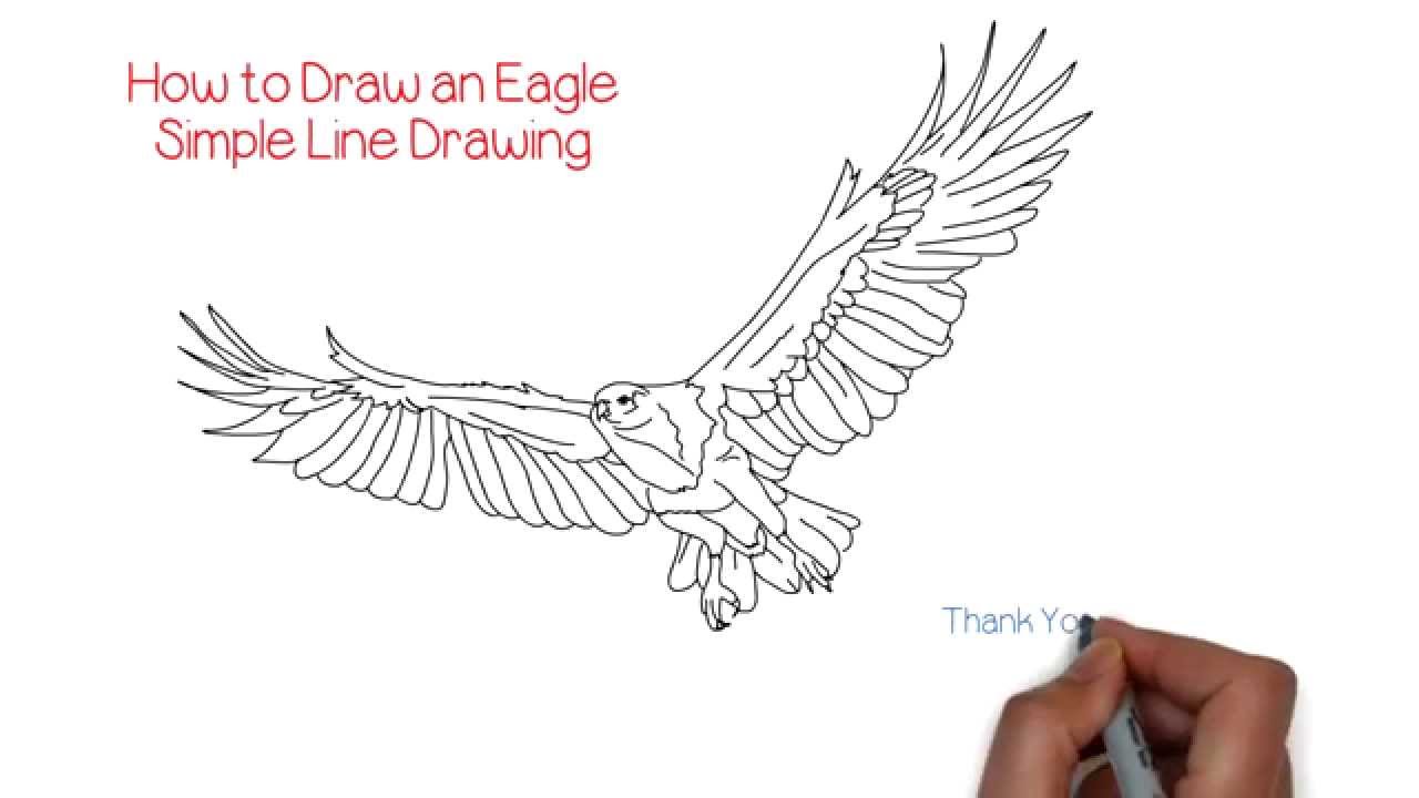 1280x720 How To Draw An Eagle Simple Line Drawing Yzarts Yzarts - Line Drawing Eagle
