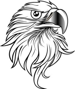 252x299 Bald Eagle Line Drawing - Line Drawing Eagle