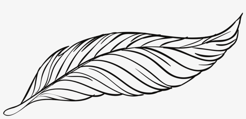 820x399 Feather Line Drawing Transparent Png - Line Drawing Feather