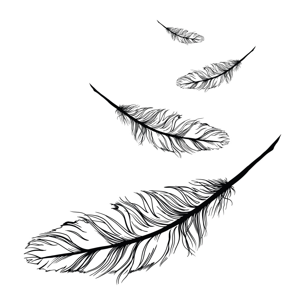 1000x1000 Lolitattoo Falling Feather - Line Drawing Feather