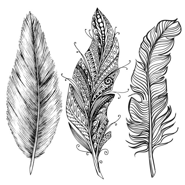 640x640  - Line Drawing Feather