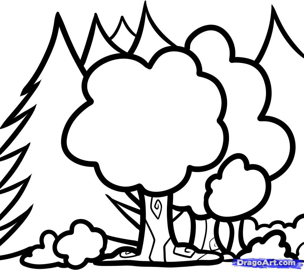 1000x889 How To Draw Trees For Kids, Step - Line Drawing For Kids