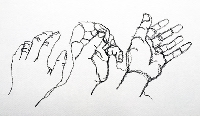 800x465 Continuous Line Drawing - Line Drawing Hand