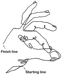 250x251 Contour Line - Line Drawing Hand