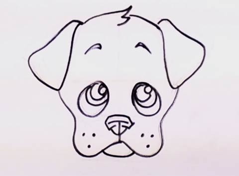 480x354 How To Draw A Puppy Face - Line Drawing Images